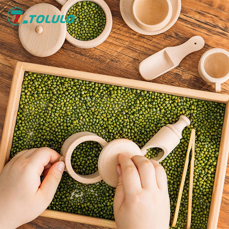 How Much Do You Know About Tolulo Montessori Educational Toys?